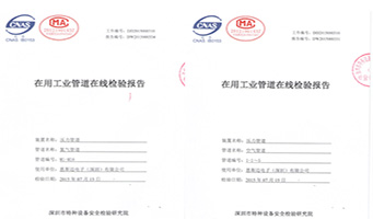恩斯邁電子——工業(yè)管道在線檢驗