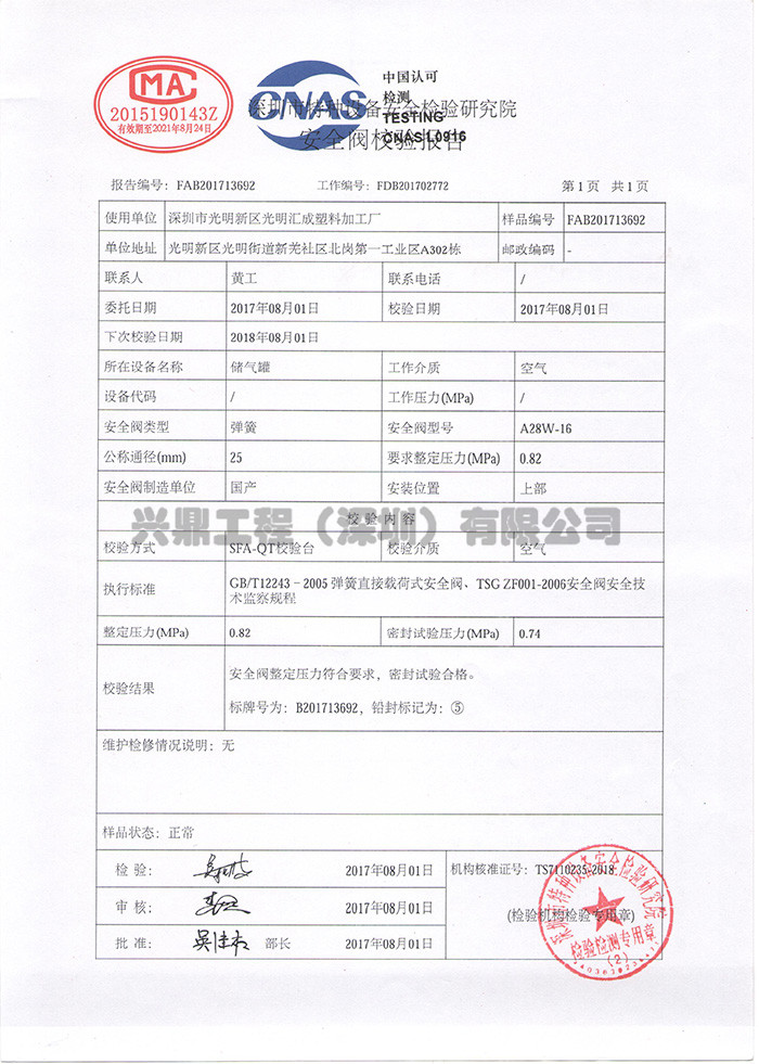 安全閥報(bào)告_副本